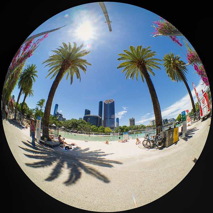 2025-11-07_12-17-42._B071112