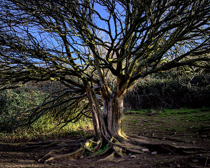 2022-01-31-11.58.58.0