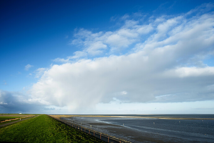 20260111_0017 ART and GIMP 3.0.8 (1)