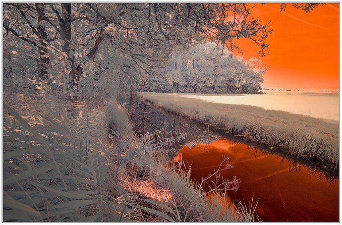 IRGP4981-Wandeling-ISO100_2k