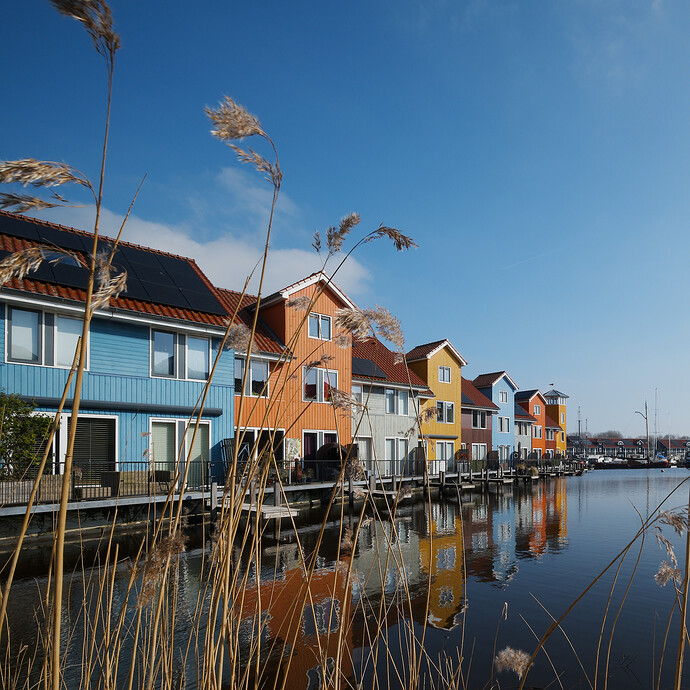 20260303-124152-DSC_0173-2.NEF