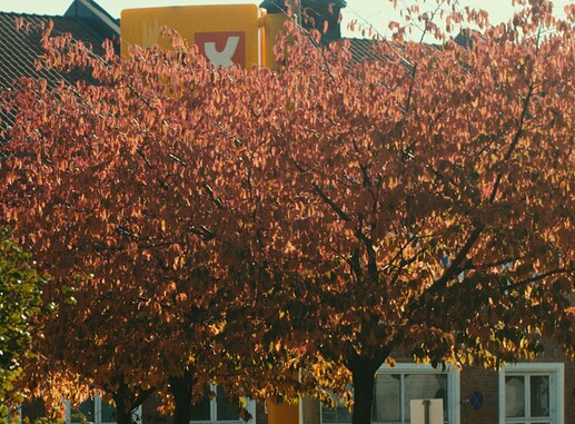 Midtones w o halation