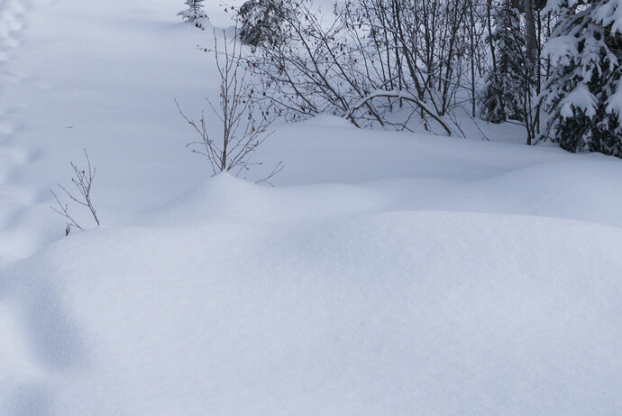 2020-02-25_10-40-25_3