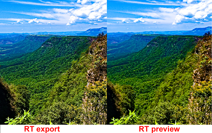 RT%20normal%20view