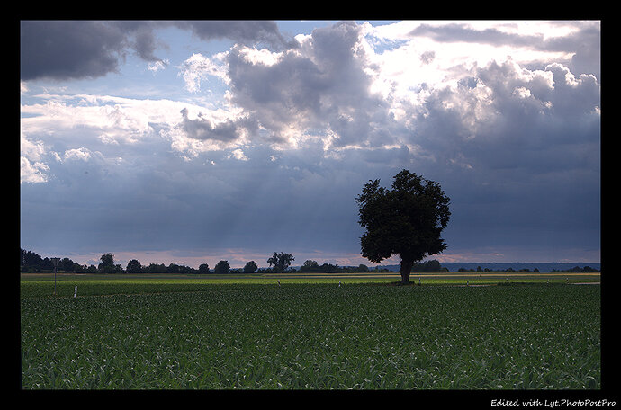 Plains_HDBB