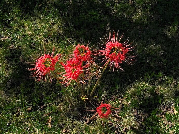 L1000184_RT-2