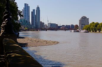 IMG_1337