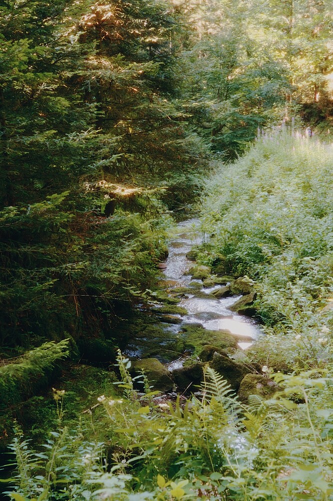 20260725-0913-03803ultramax-fujiCA