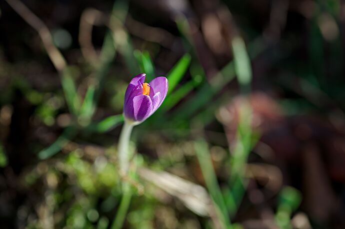 260228_162403_DSC08859