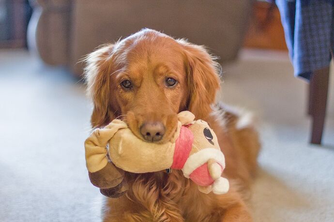 2015-01-22 093429-01_08