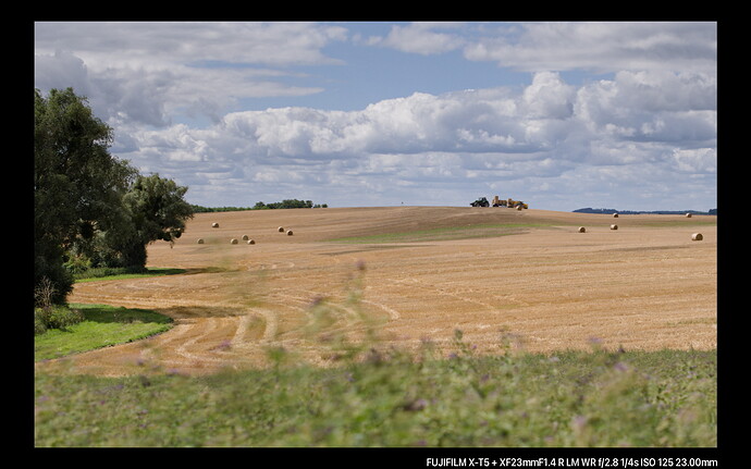 DSCF111514-1
