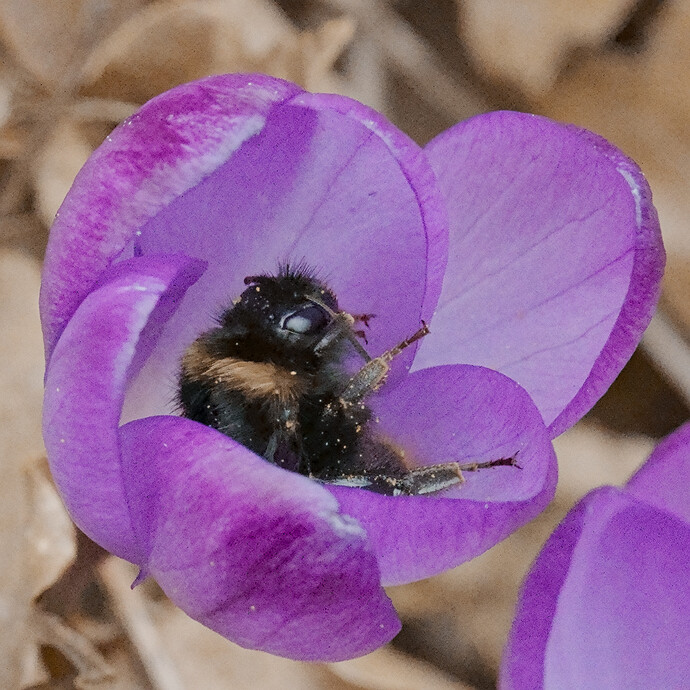 S7R05253_01