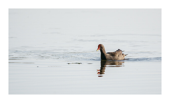 2025-12-06_05-44-57.58_DSC9974