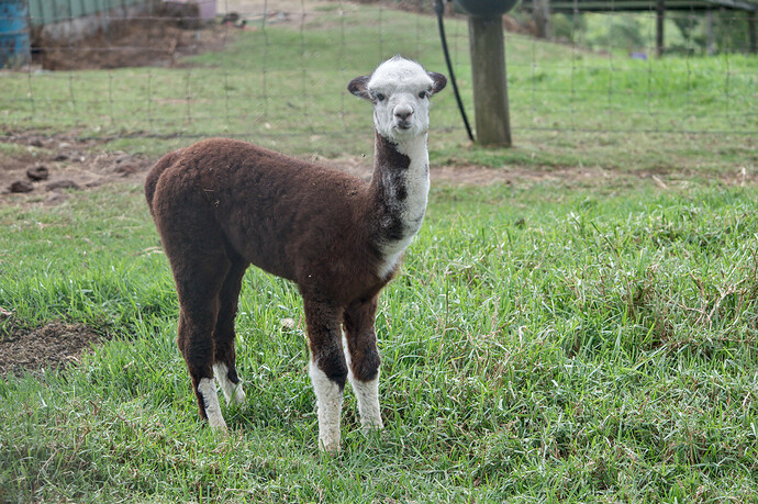 2016-04-15_12-45-09DSC_2291