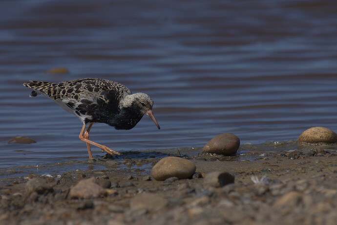 Test all modules turned off