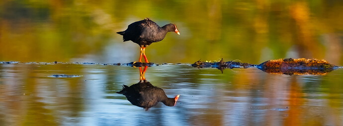 2025-12-06_05-52-10.61_DSC9998