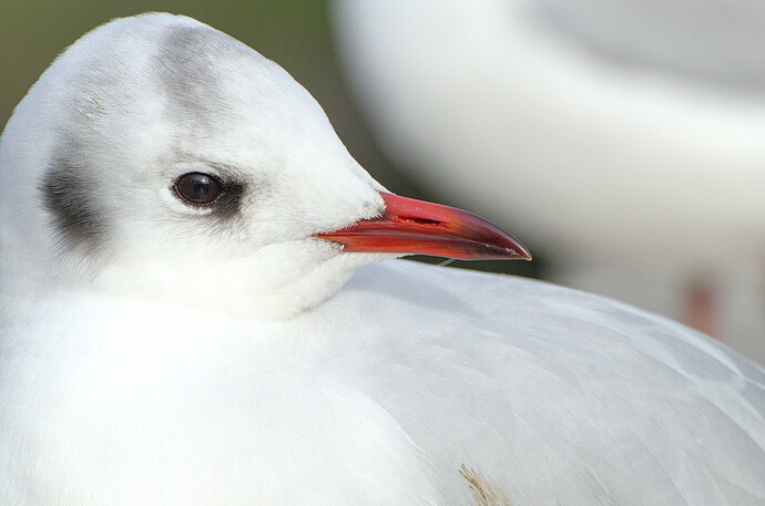 2022-12-29_13-33-59_DSC_0094