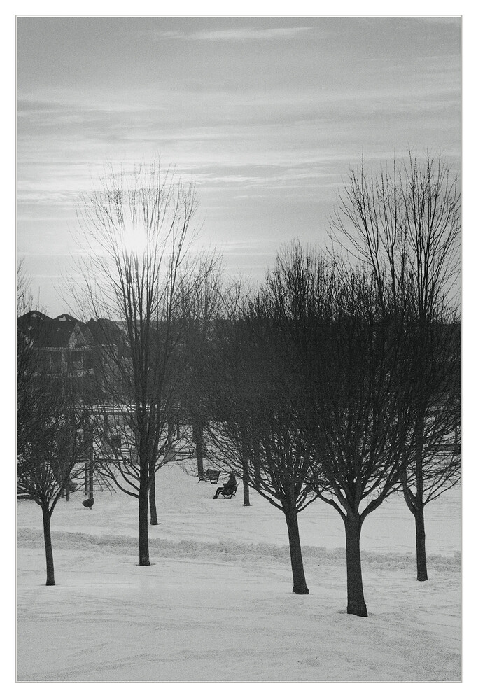 20260202_1727_7541_01