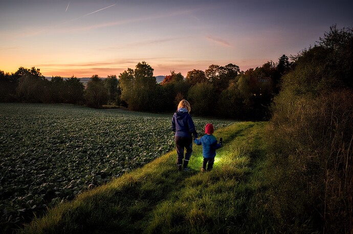 251013_190715_DSC05225_01