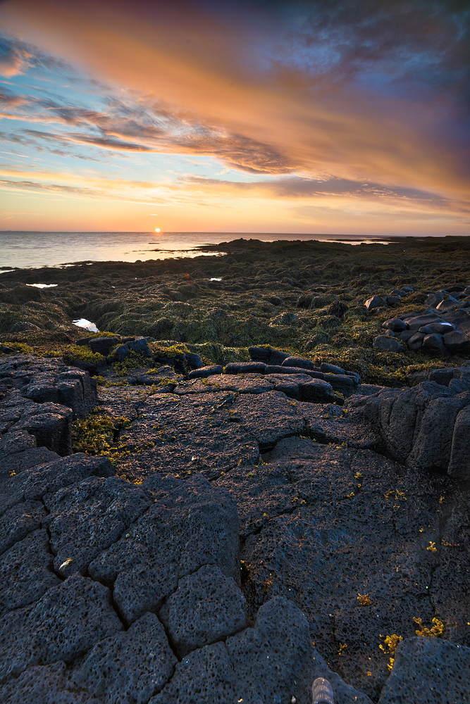 2018-07-27__7M33870-alt