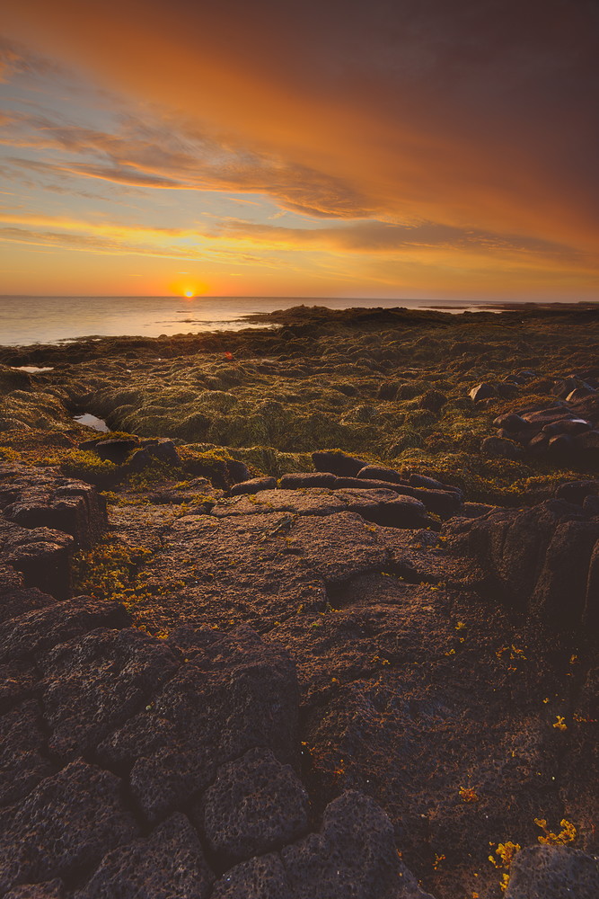 2018-07-27__7M33870-2_gimp