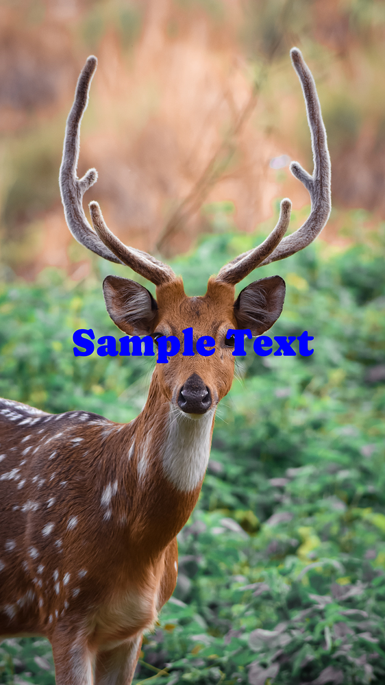 test