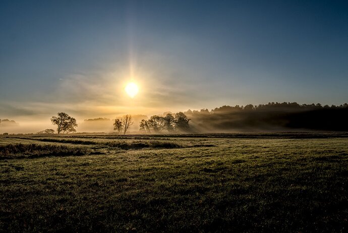 20251117_DSCF1234_01