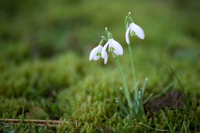 260224_130222_DSC08740