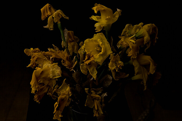 26-03-26 _MG_9285