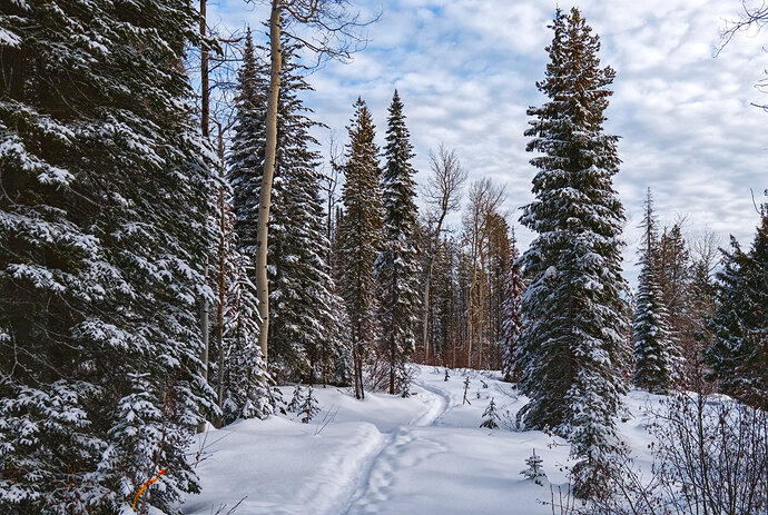 2020-02-25_10-40-25_02