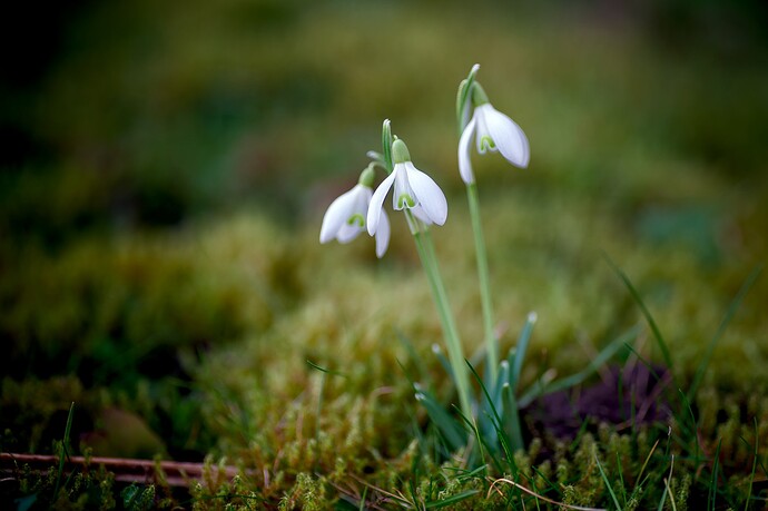 260224_130222_DSC08740