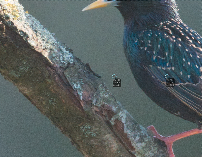 Screenshot_2021-06-16_18-11-00