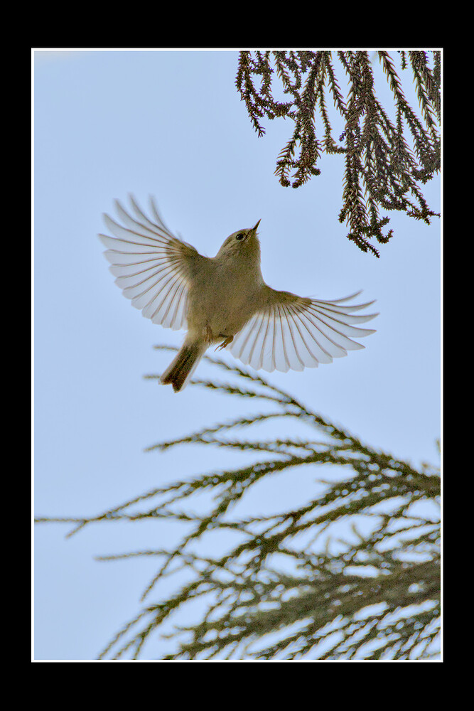 IMG_2026-01-12_12-17_0139_01