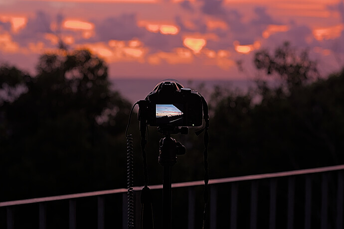 2020-12-11_04-34-56.41_DSC7351