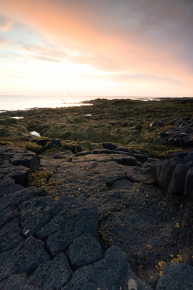 2018-07-27__7M33870edit