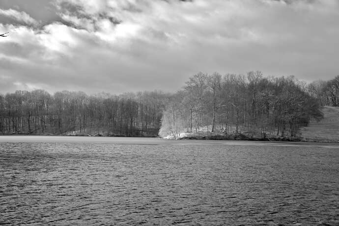 _DSC2426-GIMP LAB (1)