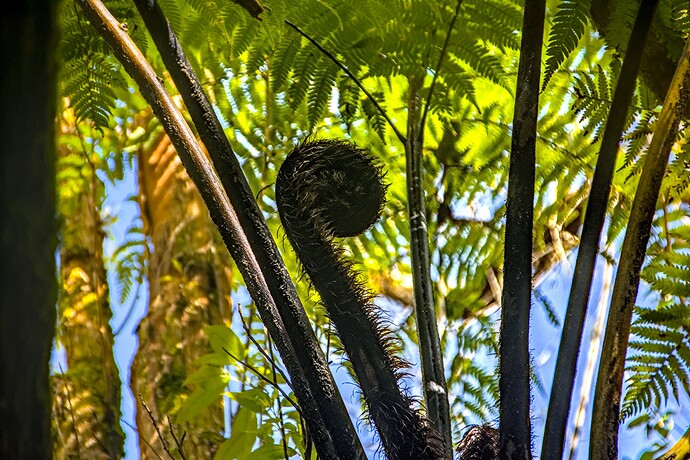 2023-09-27_13-40-10.14_DSC0620_01