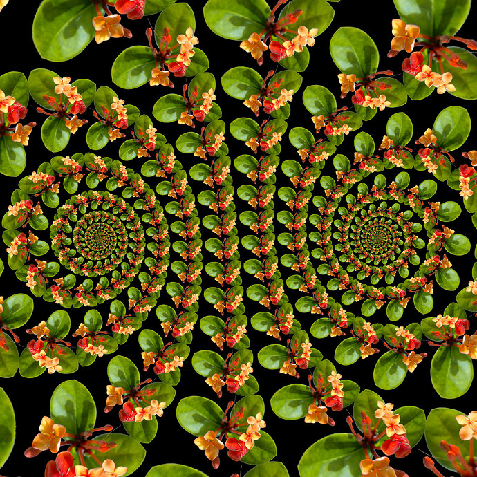7E4A065b0