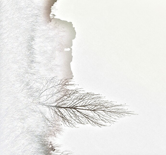 20251213-1406-0099_01