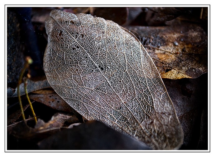 DSC_0228_01