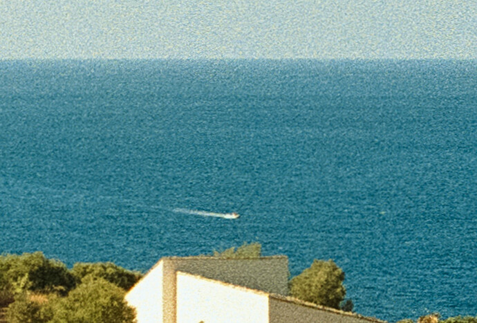 Photo 1 - film SCAN