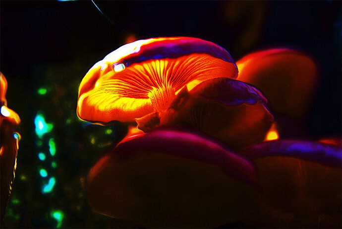 glow_mushroom