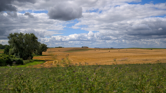 DSCF111514
