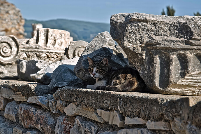 _DSC3196 RawTherapee and GIMP (1)