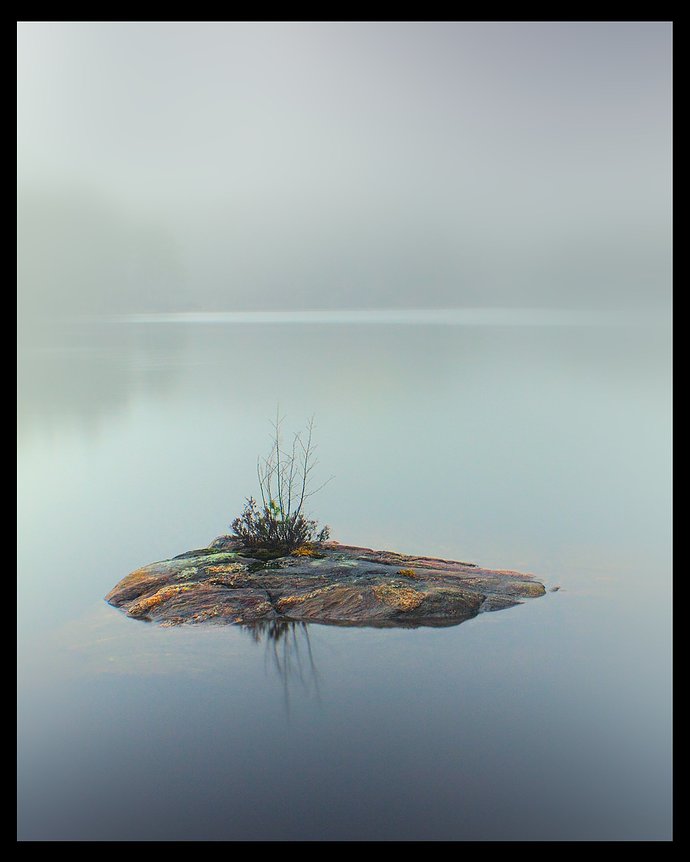 Early morning fog_IMG_1572