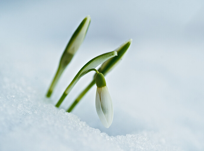 260216_132312_DSC08577-1