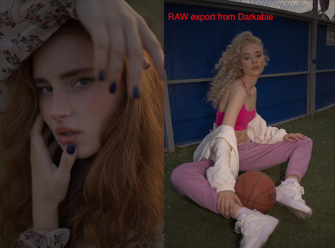 raw export Darkable