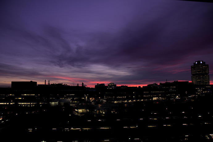 _MG_0517