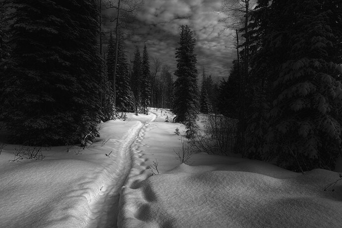 2020-02-25_10-40-25_scaled