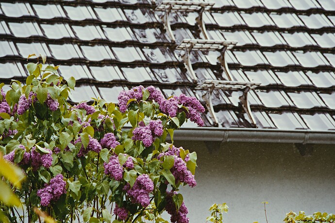 260507_111455_DSC01327_vkdt
